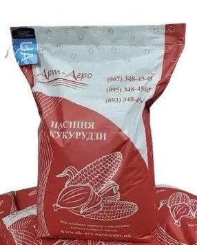 Кукурудза Ларсон ФАО 250 1305 фото