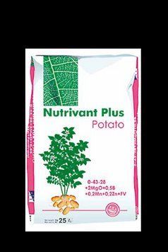 Добриво Нутрівант плюс Картопля (0-43-28) 25 кг ICL Specialty Fertilizers 2458117339 фото